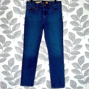 Anthropologie Pilcro and the Letterpress Stet Jeans 29 Mid Rise‎ Skinny Stretch